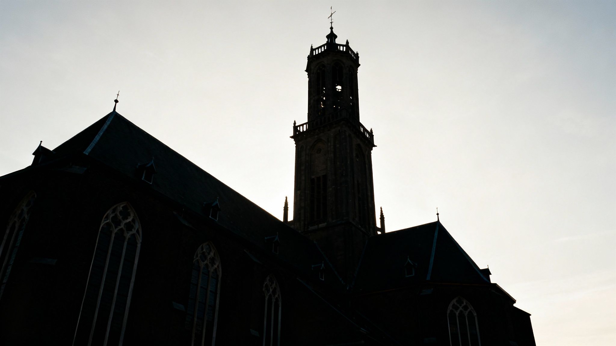 Asserbos (Assen Forest)