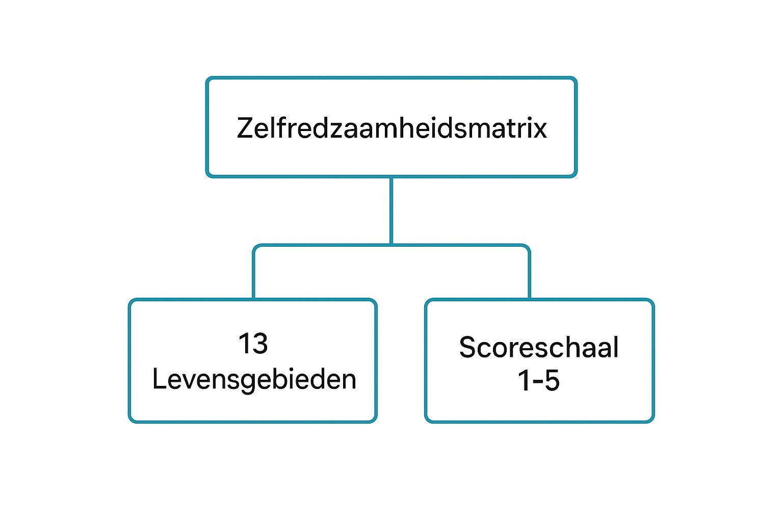 Infographic about zelfredzaamheidsmatrix