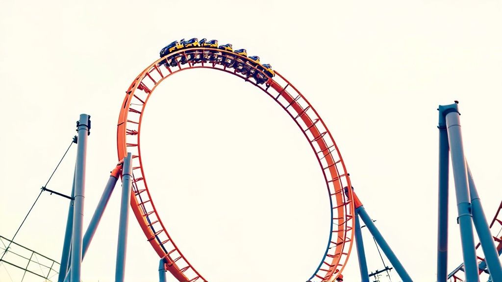 Walibi Holland Theme Park