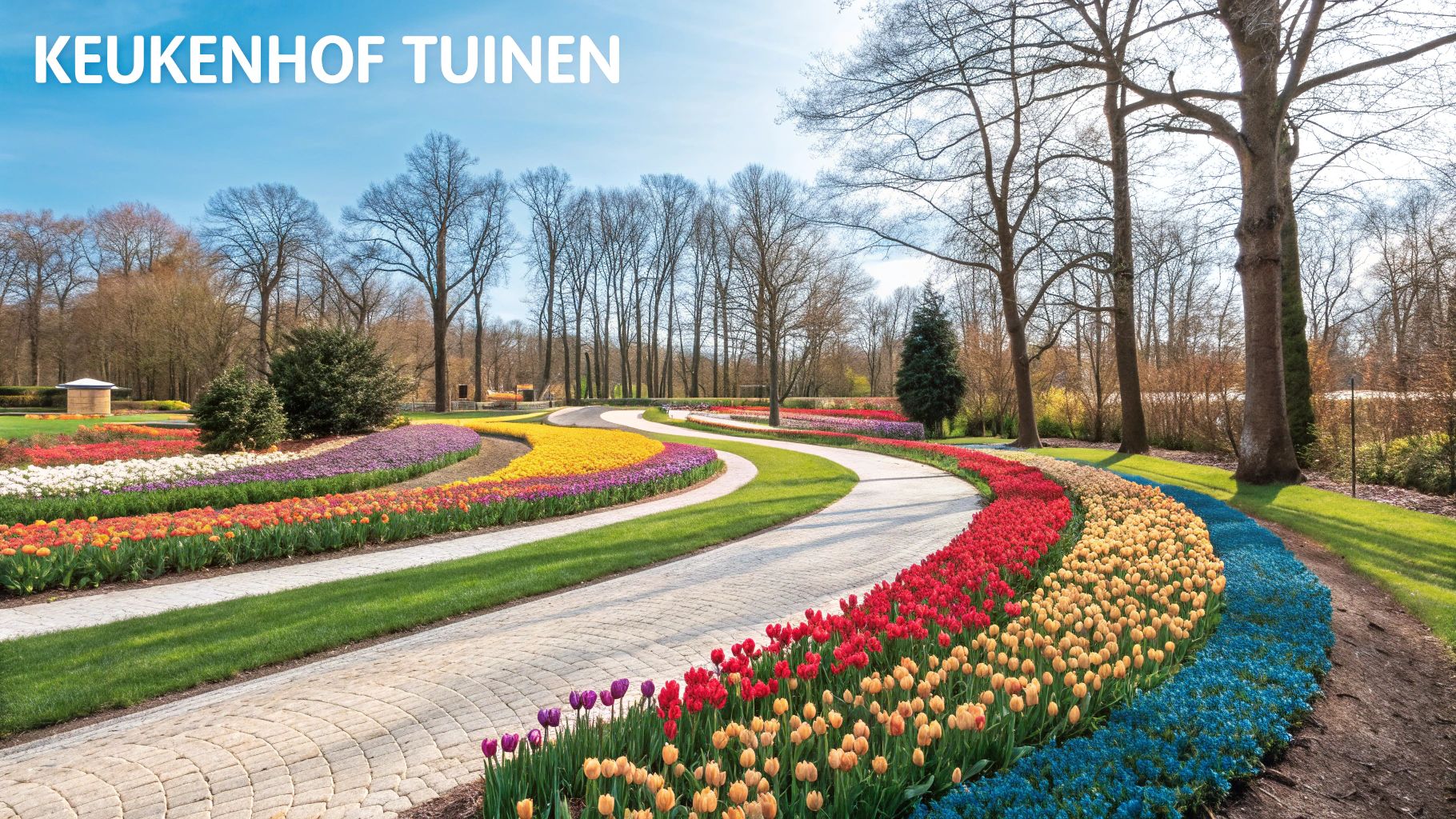 Keukenhof Gardens (Lisse)