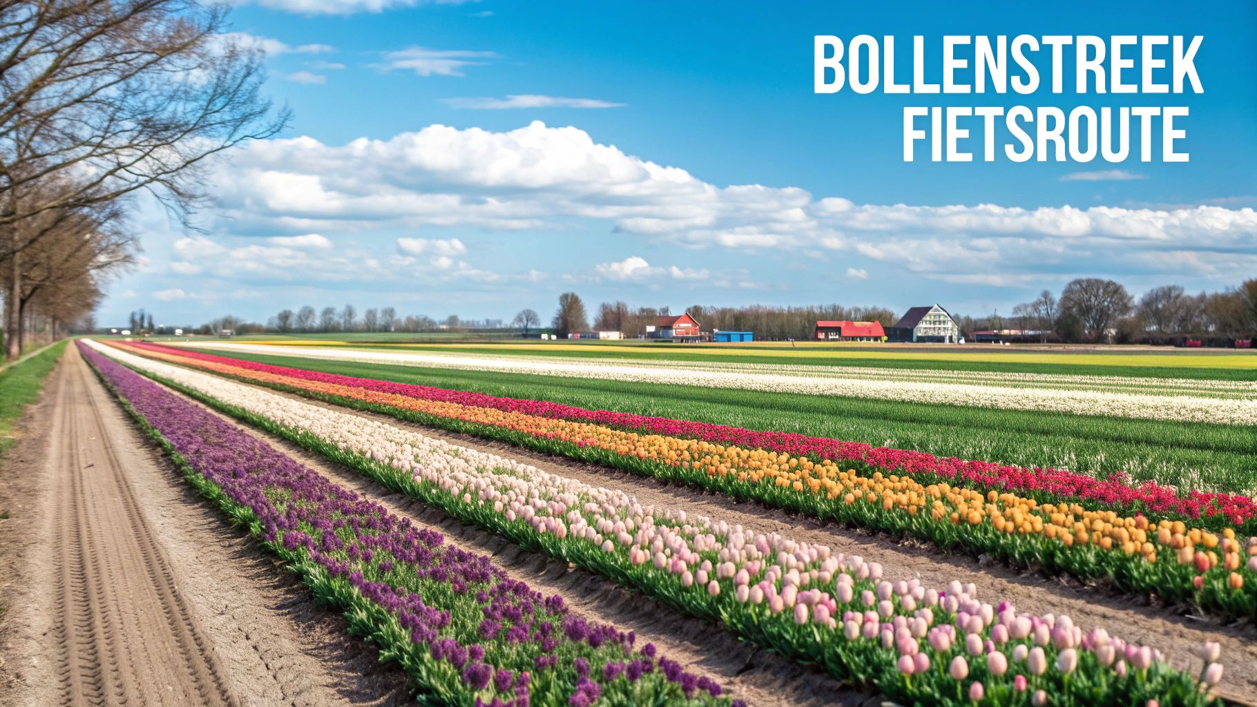Keukenhof en Bollenstreek Route