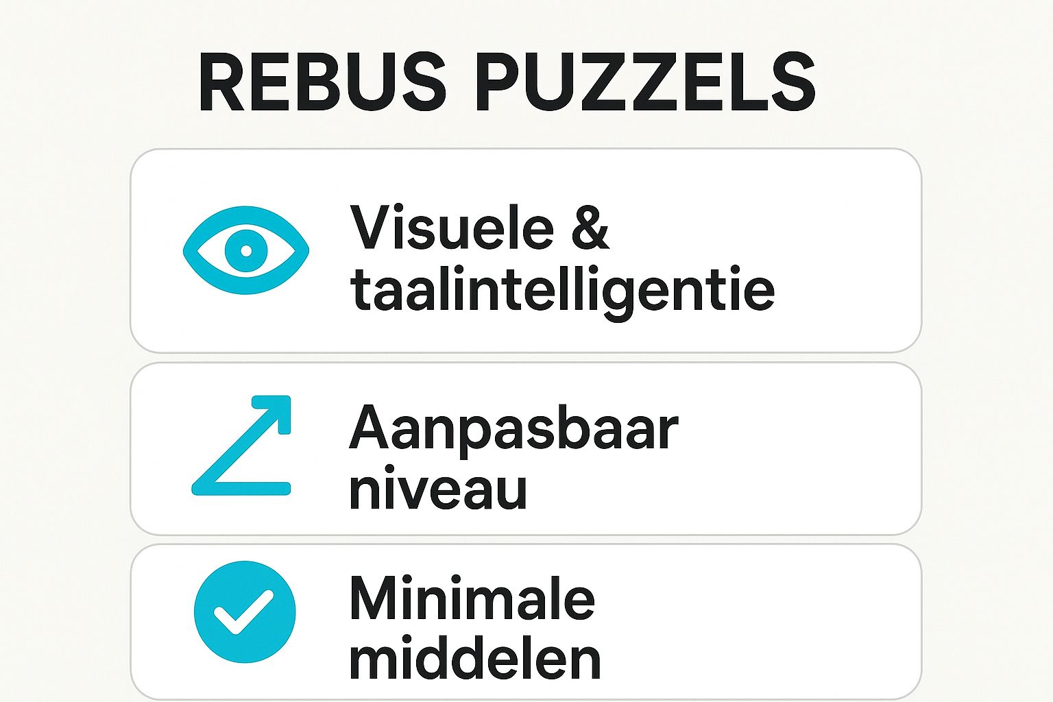 Infographic showing key data about Rebus Puzzels