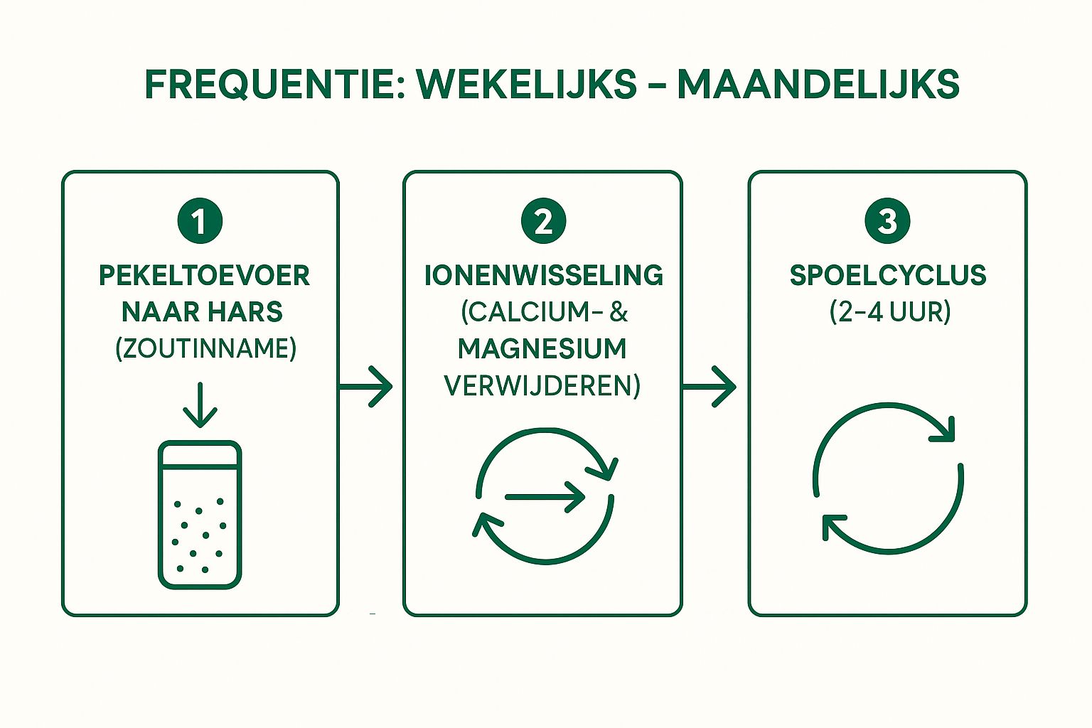 Infographic showing key data about Stap 1: Zorg voor een perfecte regeneratie van de hars