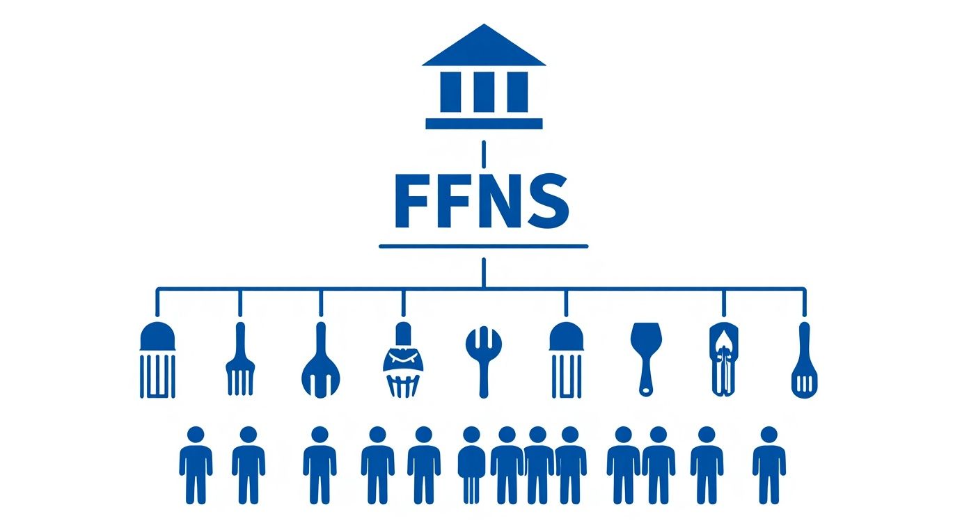 Infographic about USDA food nutrition service programs