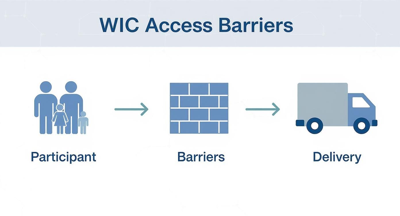 Infographic about WIC food delivery programs