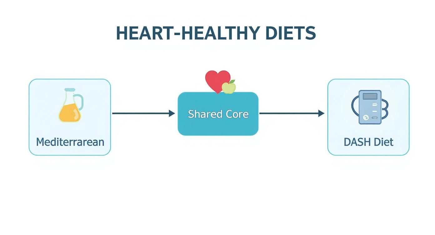 Diagram showing Mediterranean and DASH diets sharing a core for heart-healthy nutrition, with a heart and apple icon.