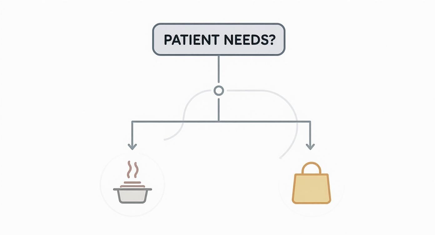Infographic about medically tailored groceries delivery