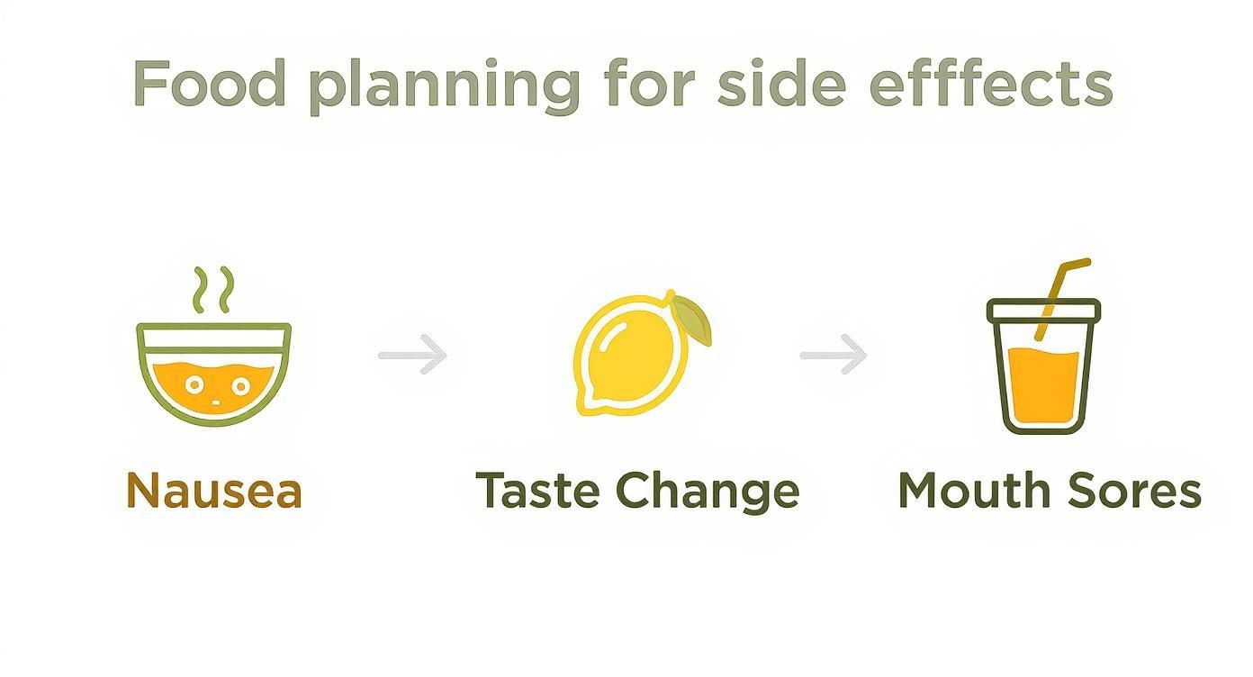 Infographic showing food planning strategies for managing side effects: nausea, taste change, and mouth sores.
