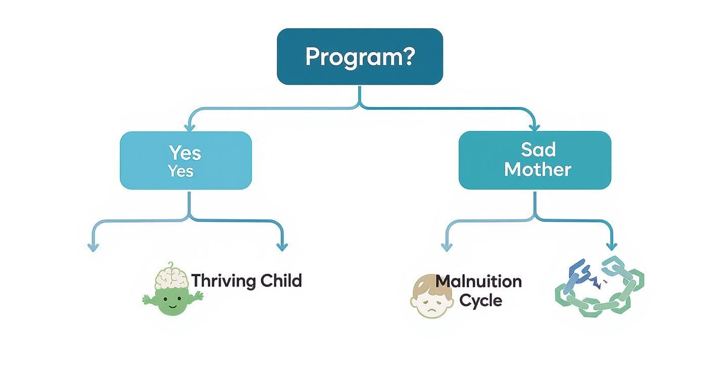 A flowchart illustrates how a program leads to a thriving child, while its absence causes a malnutrition cycle.
