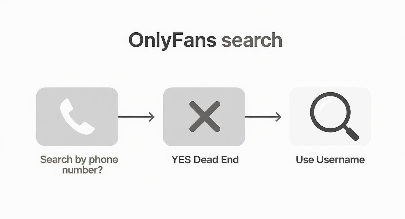 Infographic about onlyfans search by phone number
