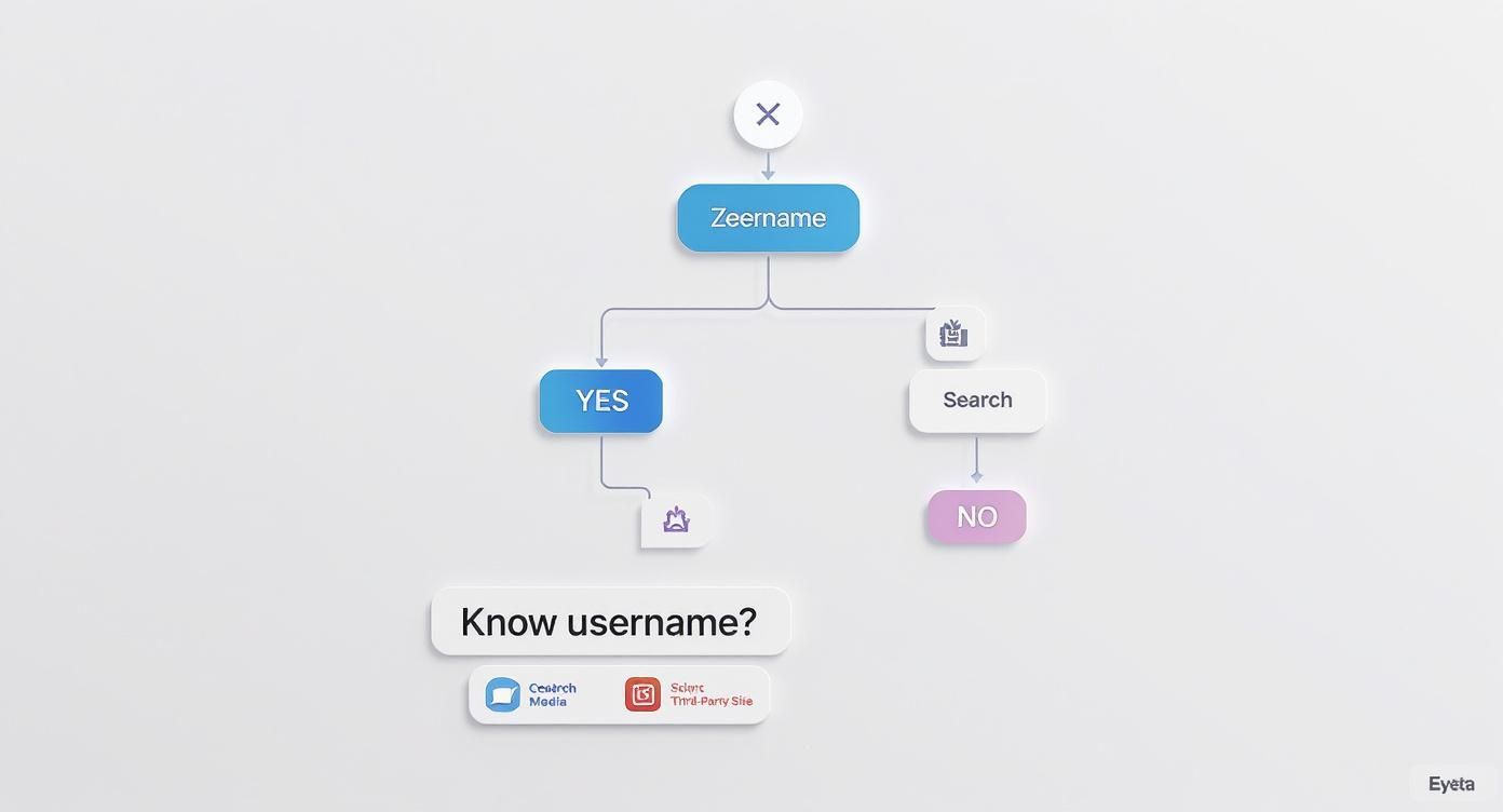 Infographic about onlyfans content search