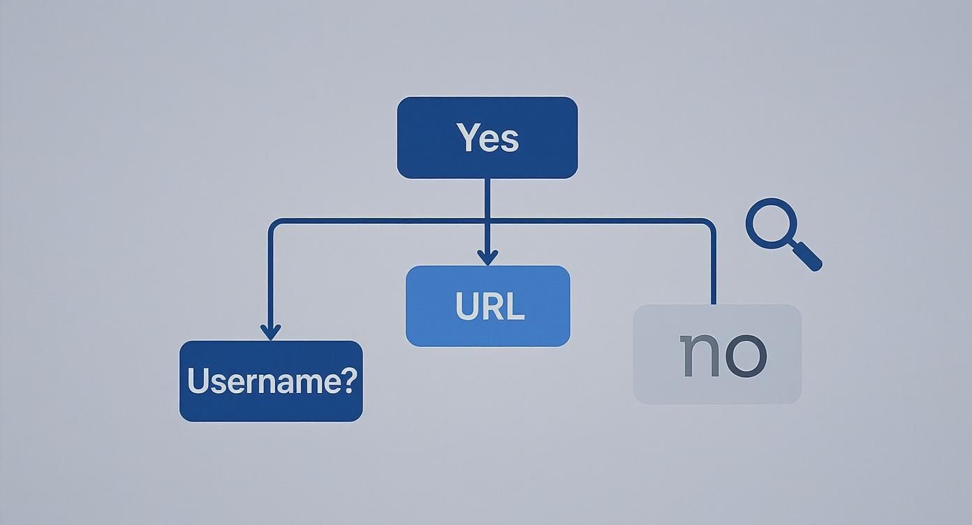A flowchart showing a decision process with 'Yes', 'URL', 'Username?', and 'no' options, plus a search icon.