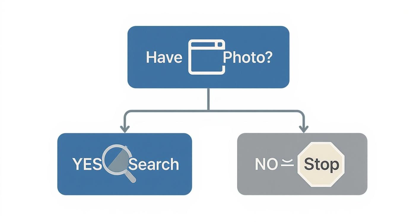 Infographic about reverse image search onlyfans