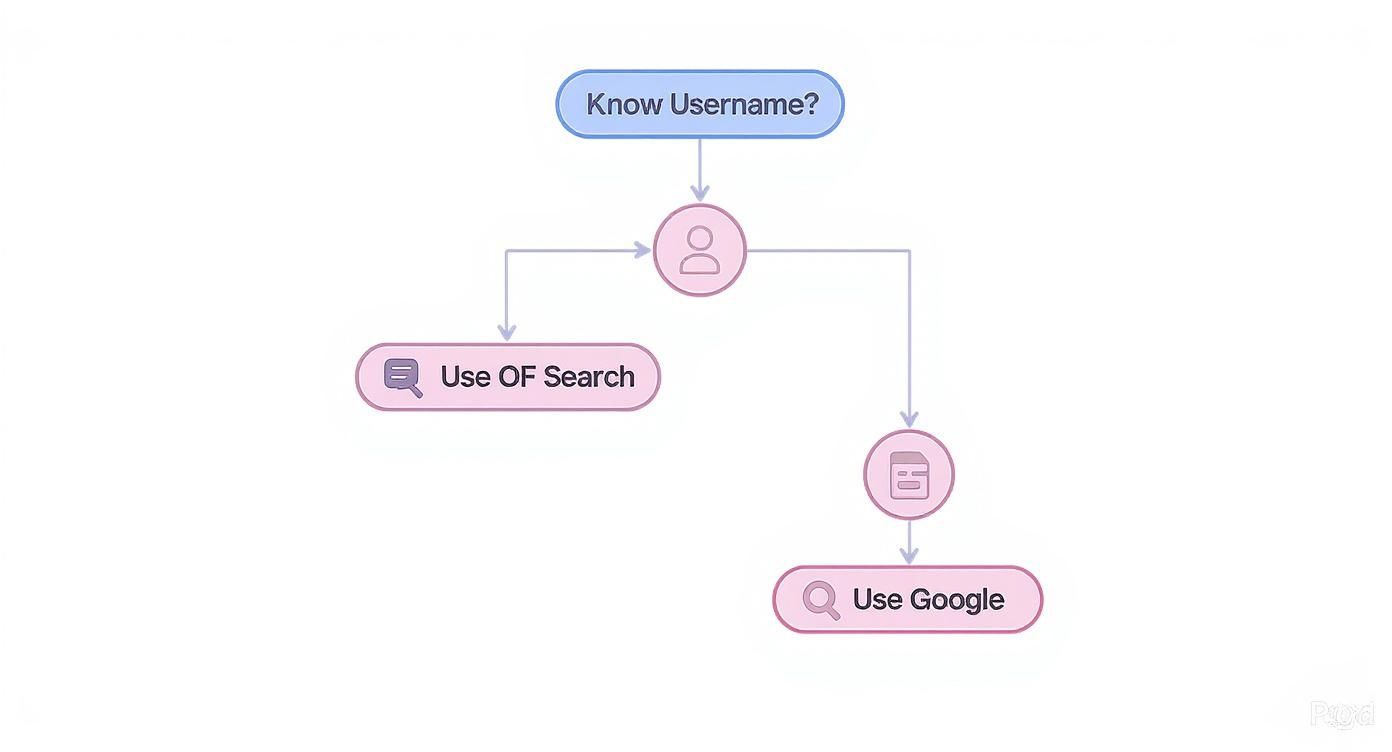 A flowchart illustrates steps for finding a username, branching into 'Use OF Search' or 'Use Google'.