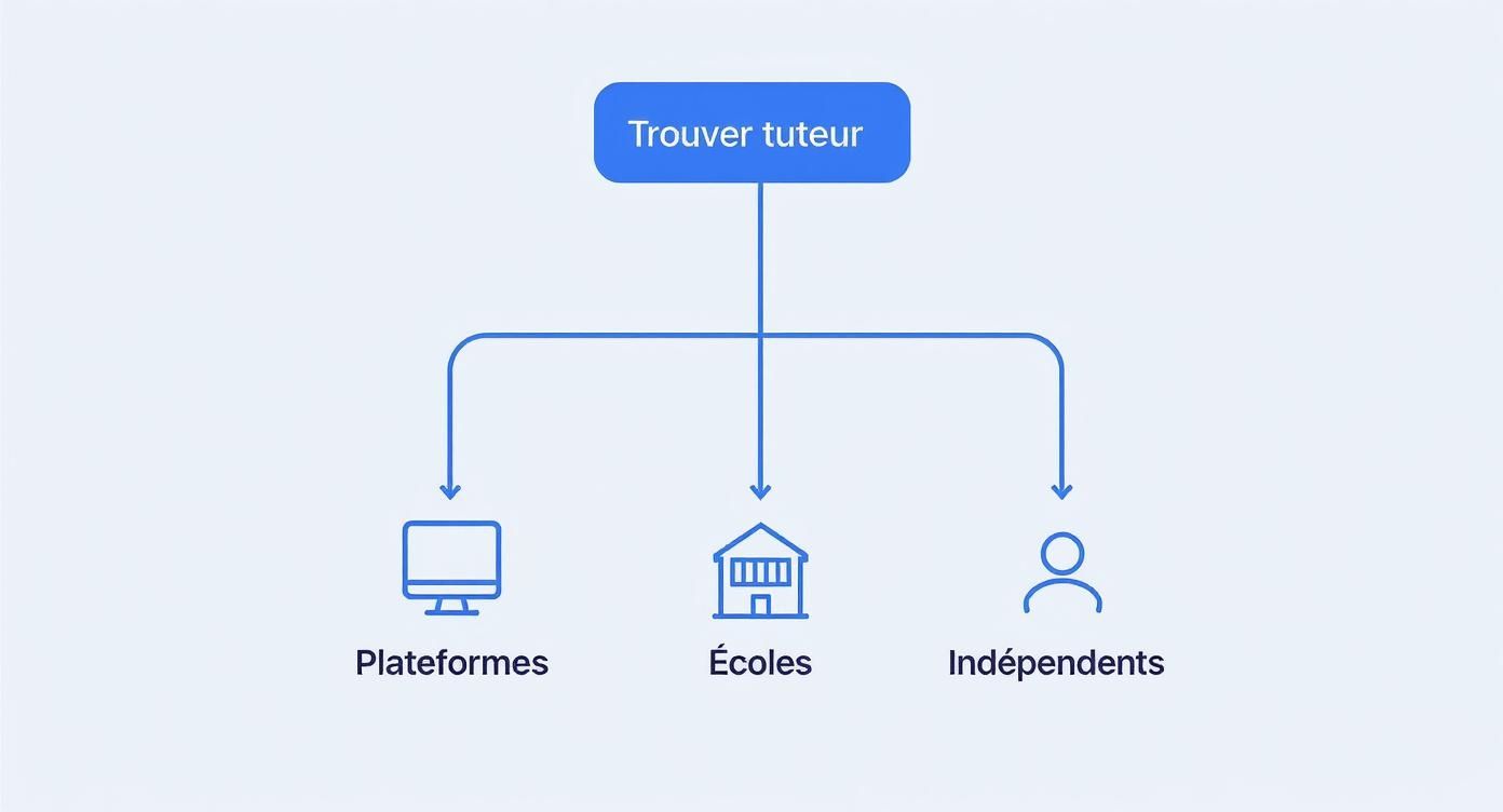 Infographic about Tuteur anglais Montréal