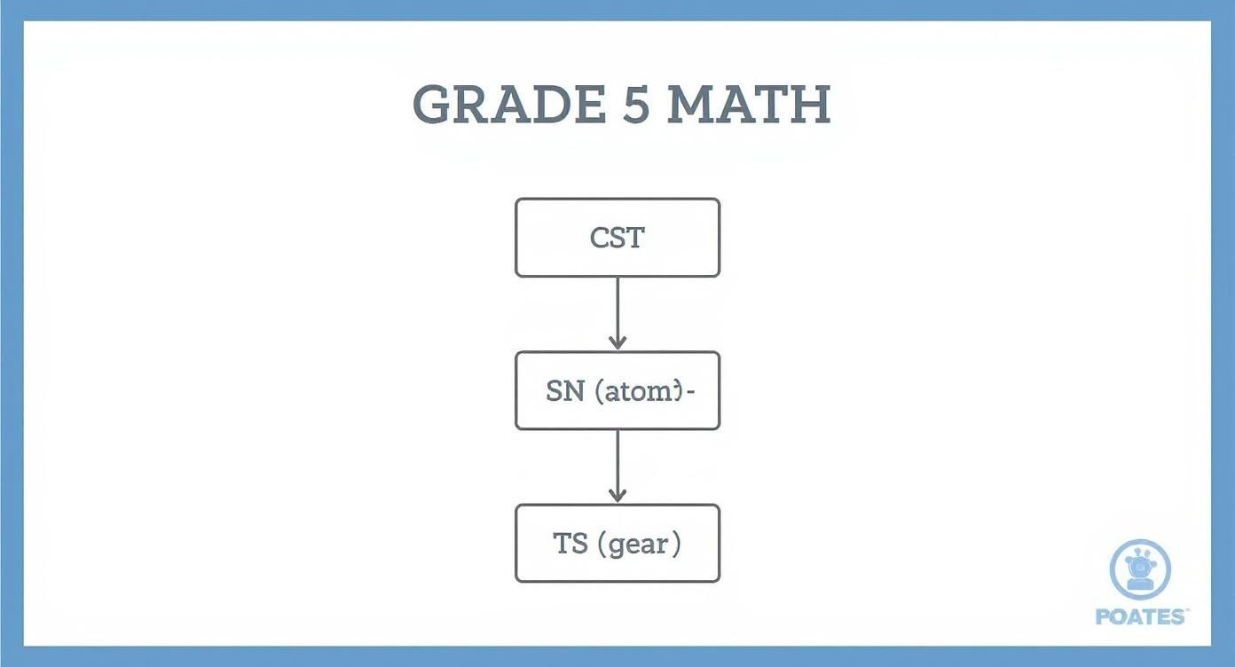 Infographic about mathematiques secondaire 5