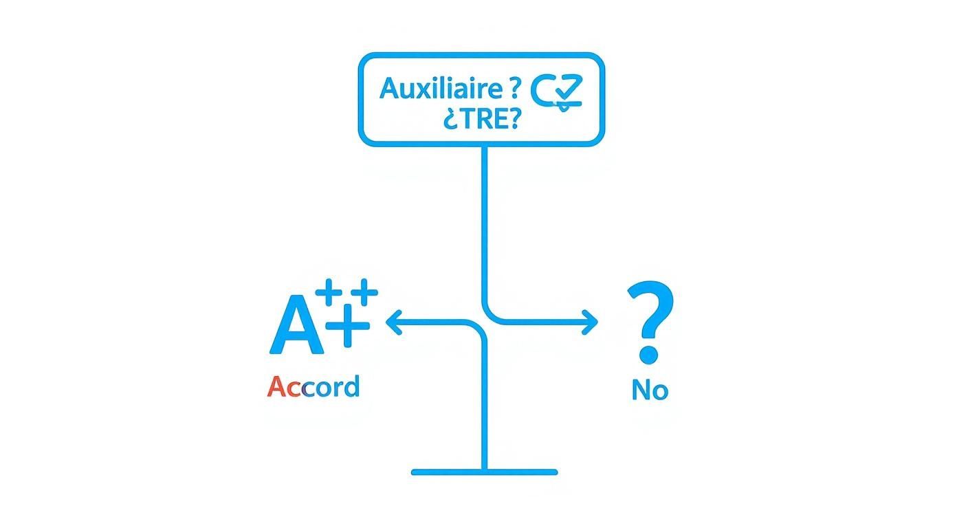 Un arbre de décision simple montrant que si l'auxiliaire est ÊTRE, il y a accord, sinon une autre règle s'applique.