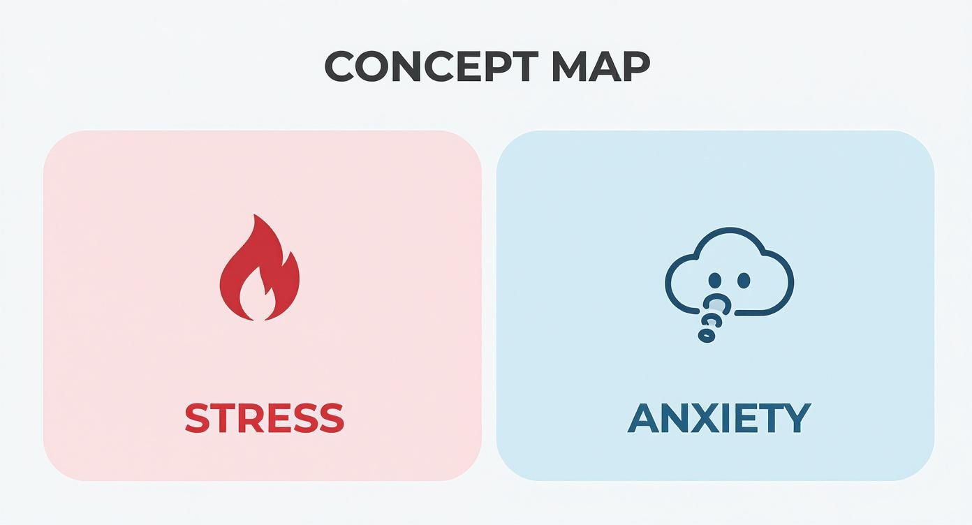 Infographic about différence entre stress et anxiété