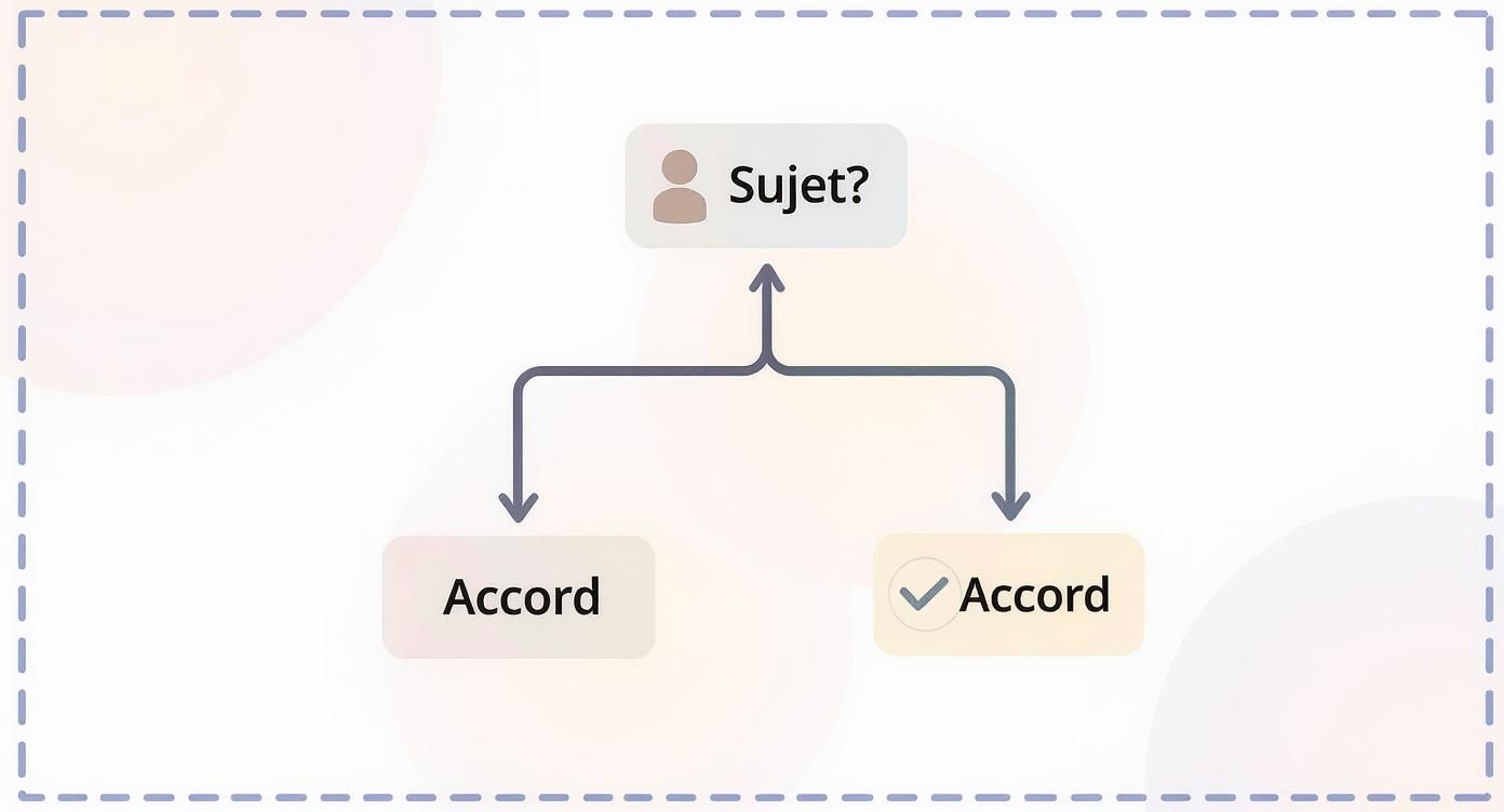 Diagramme conceptuel en français montrant la question "Sujet ?" menant à deux options d'"Accord", dont une est cochée.