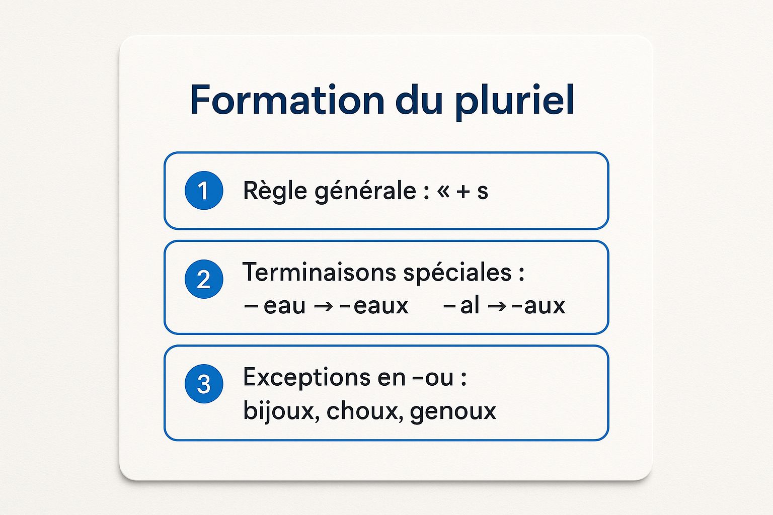Infographic showing key data about Pluriel des noms et adjectifs