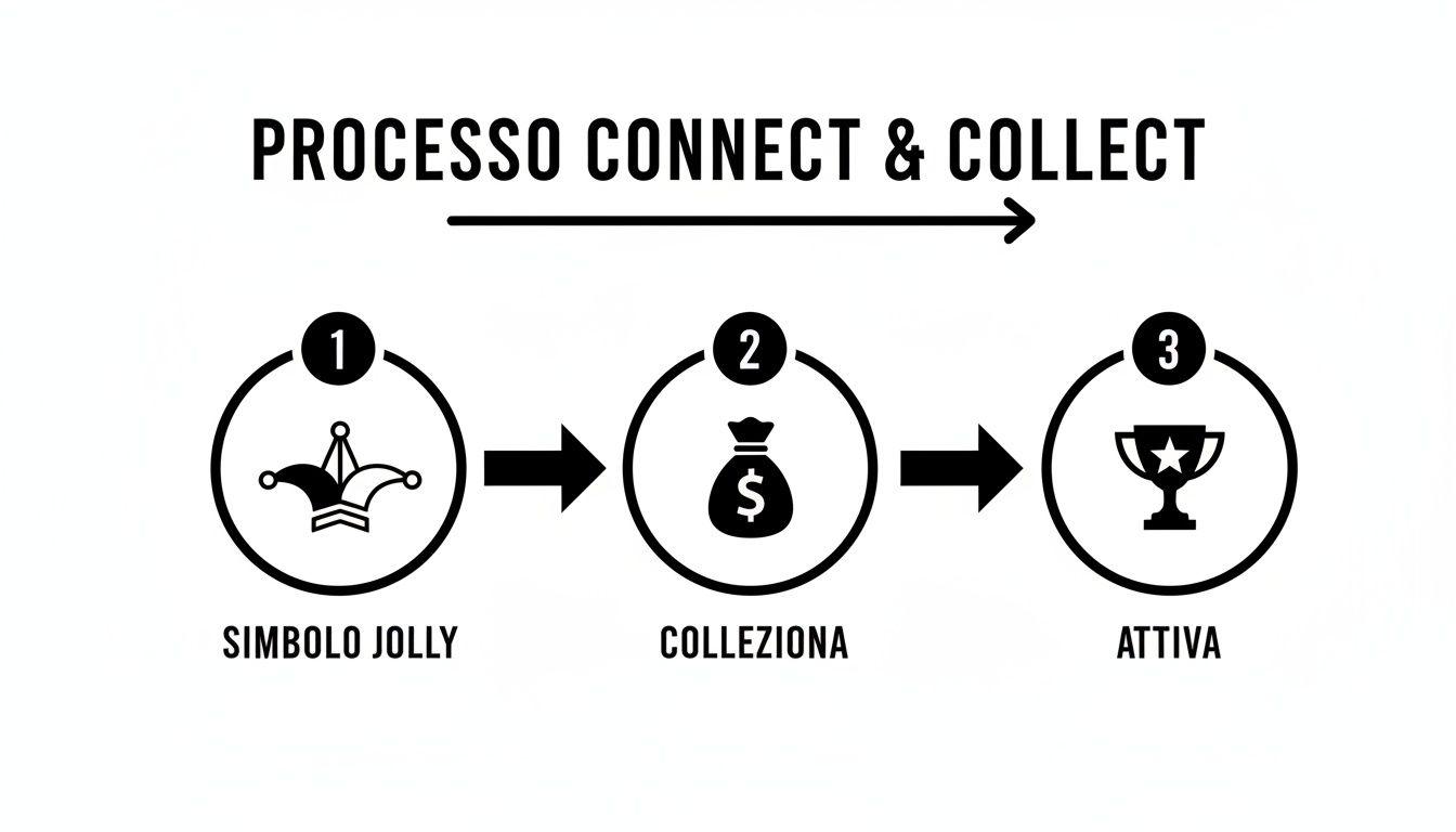 Illustrazione del processo Connect & Collect con tre passaggi sequenziali: Simbolo Jolly, Collezione, Attiva.