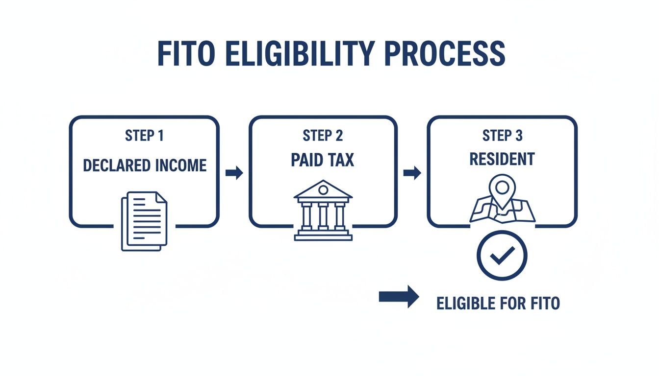 A flowchart detailing the FITO eligibility process, showing steps: Declared Income, Paid Tax, and Resident.