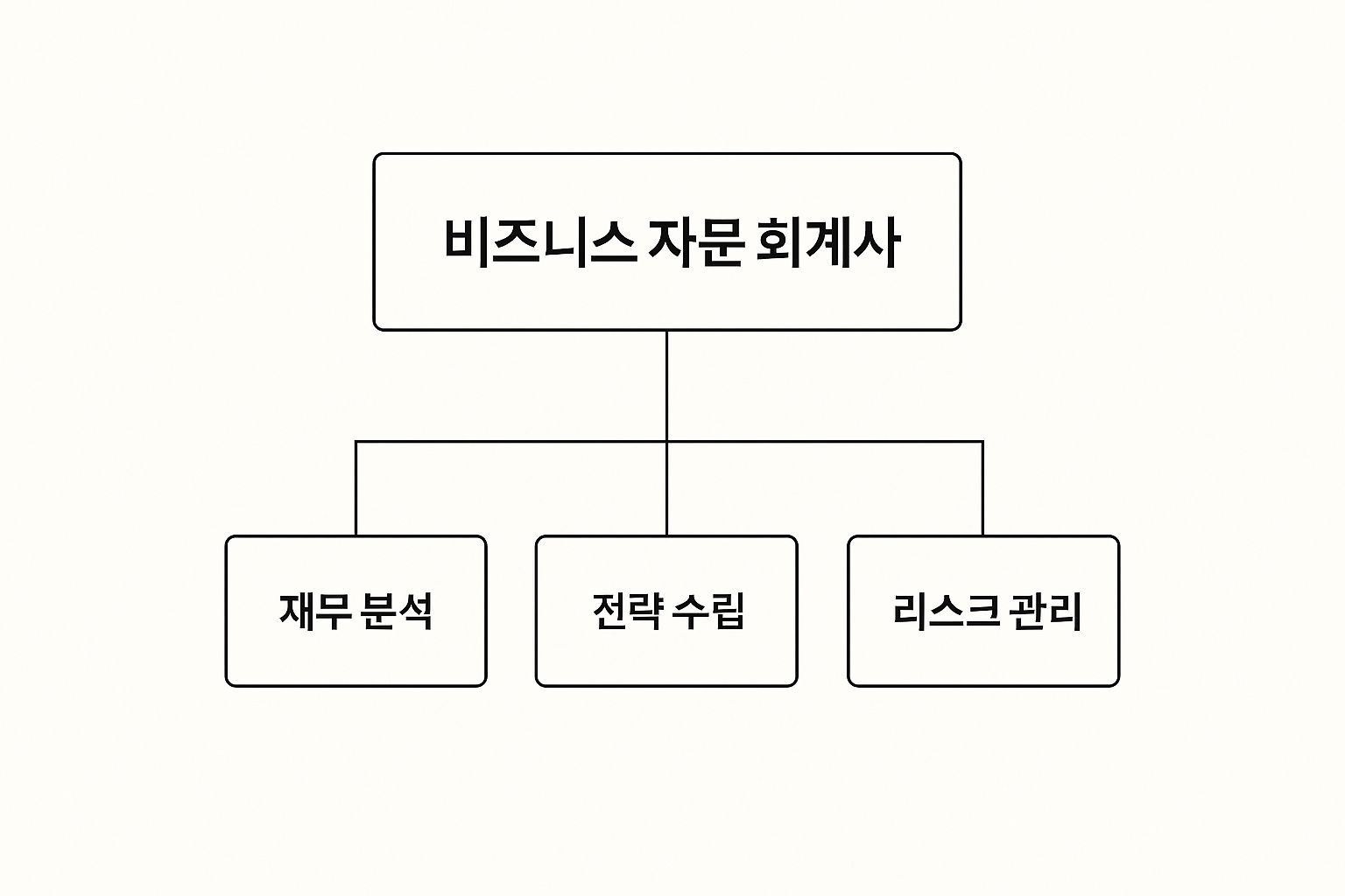 Diagram showing the role of a business advisory accountant including financial analysis, strategy planning, and risk management.