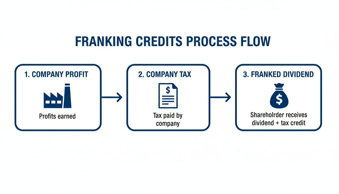 Flowchart illustrating the franking credits process from company profits to franked dividends and tax credits.
