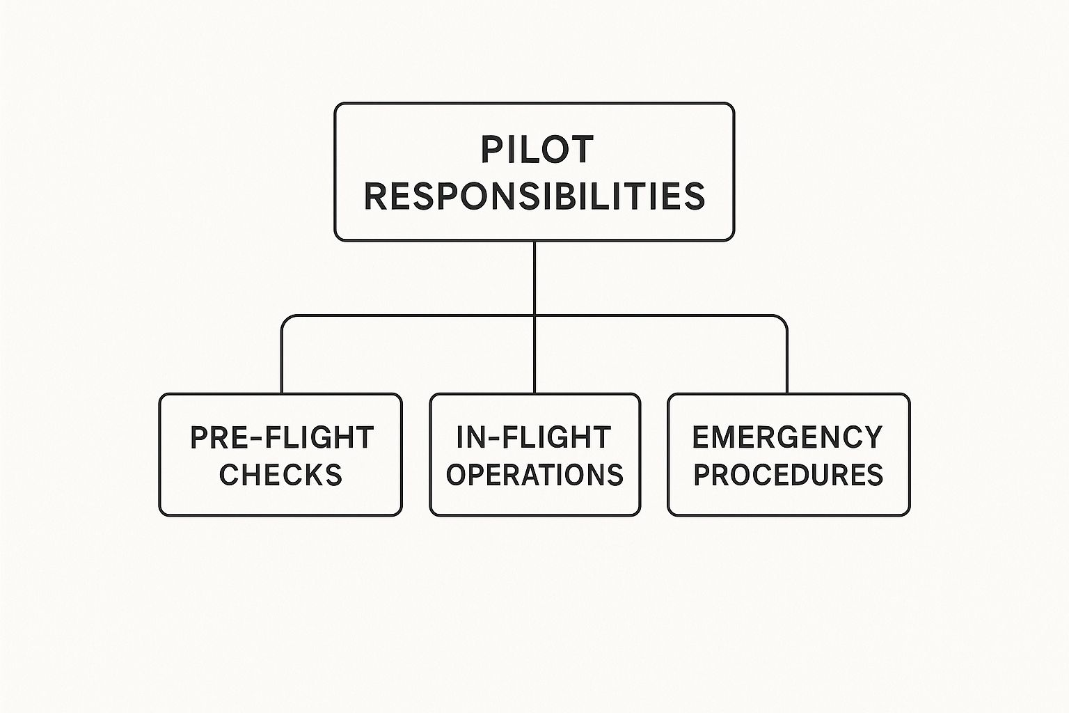 Flowchart diagram outlining pilot responsibilities: pre-flight checks, in-flight operations, and emergency procedures.