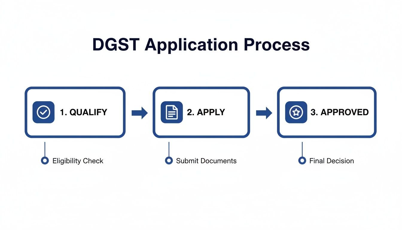 Flowchart illustrating the DGST application process with three steps: qualify, apply, and approved.