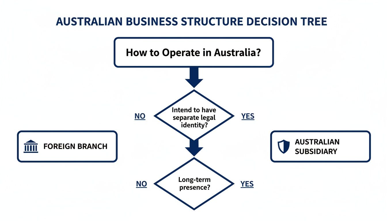 Decision tree for Australian business structures, guiding choice between Foreign Branch and Australian Subsidiary based on legal identity and presence.