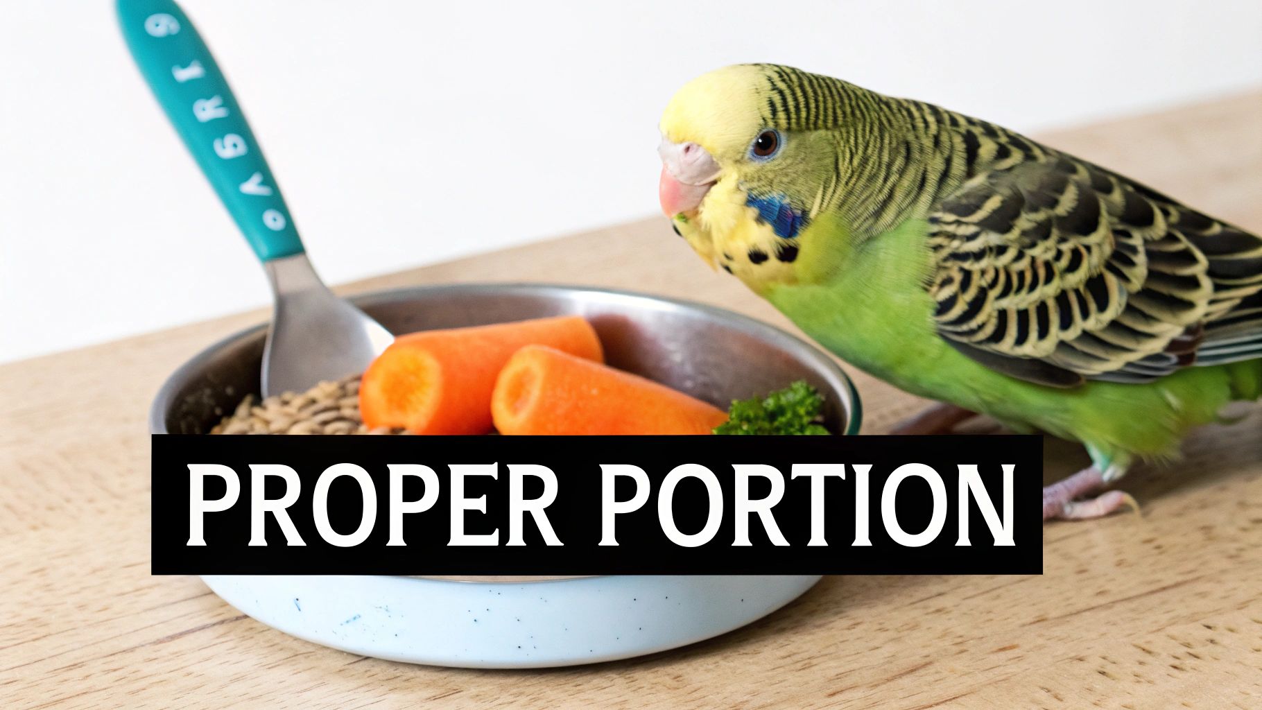 A green and yellow budgie bird looking at a bowl of carrots, seeds, and parsley with a spoon, and text "PROPER PORTION".