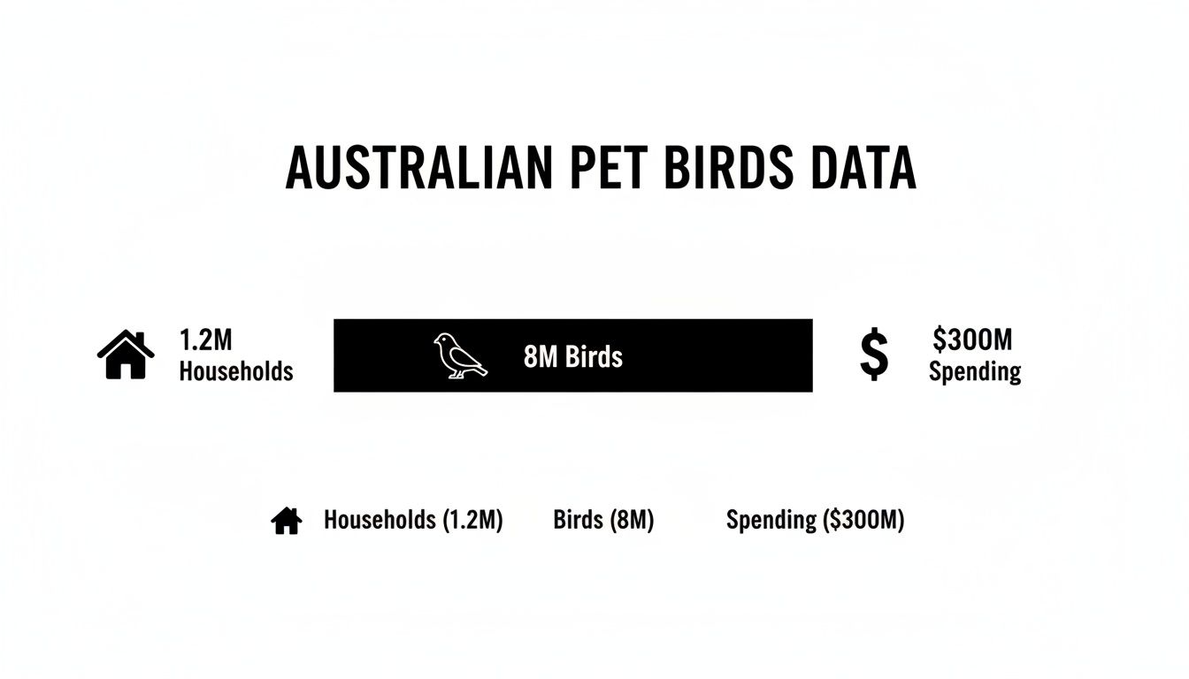 Infographic showing Australian pet bird data: 1.2M households, 8M birds, and $300M annual spending.