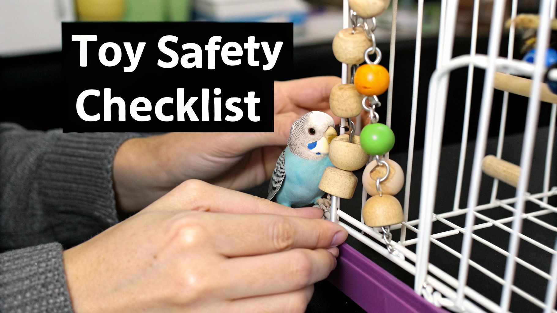 A person's hands gently hold a blue budgie near a bird cage with various wooden toys. Overlay text: Toy Safety Checklist.