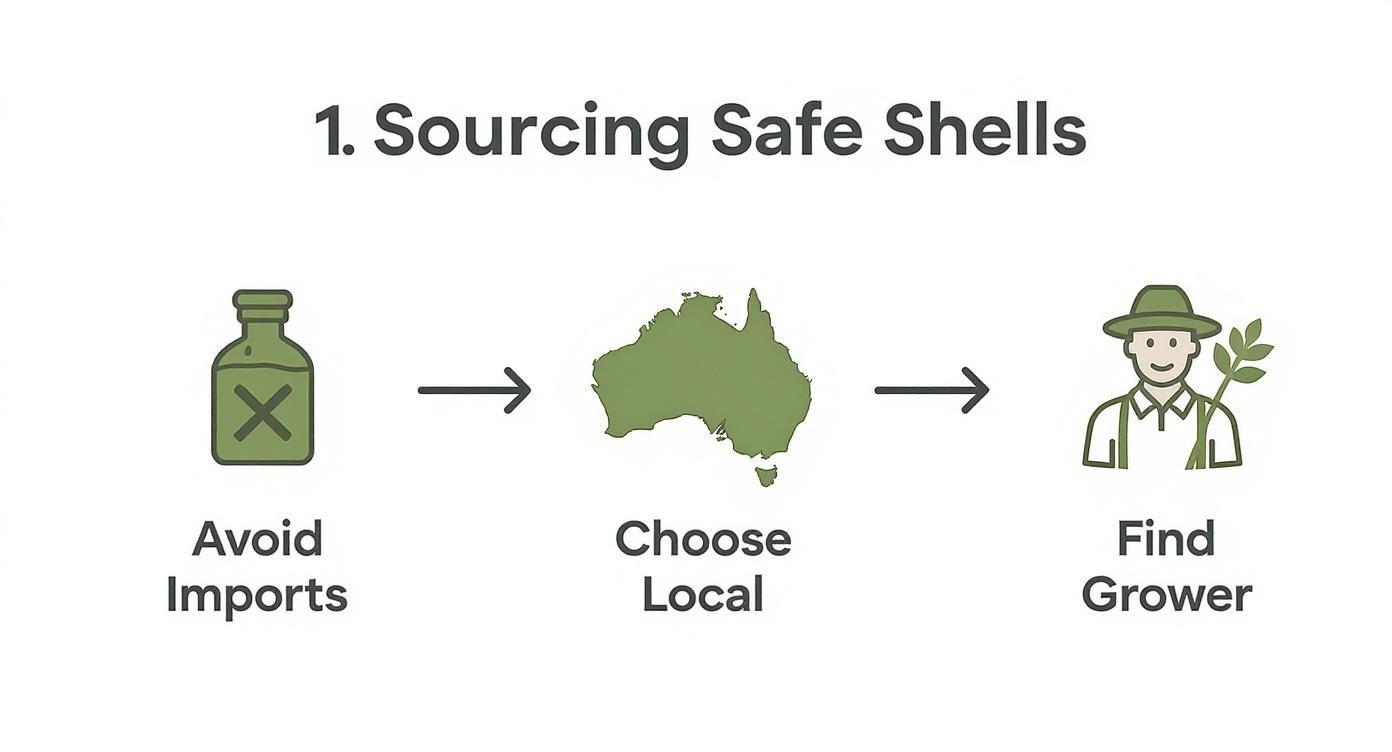 Diagram showing three steps for sourcing safe shells: avoid imports, choose local in Australia, and find a grower.