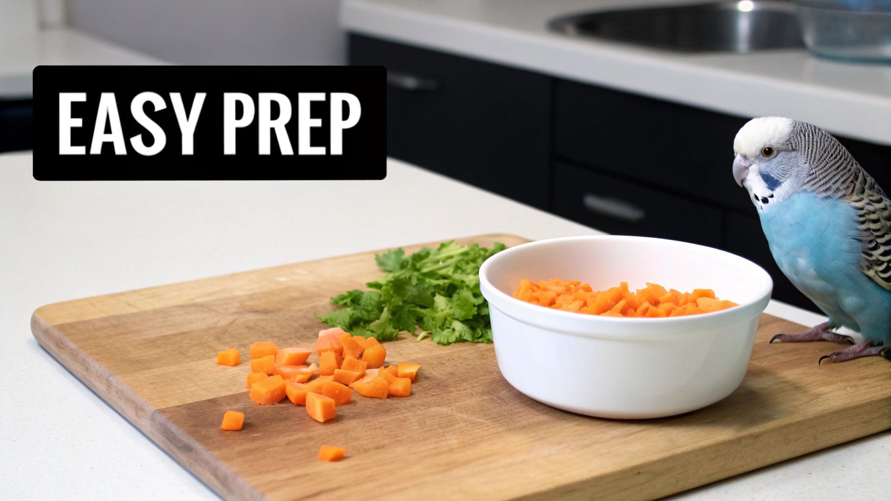 A blue budgie on a cutting board next to a bowl of diced carrots and fresh cilantro.