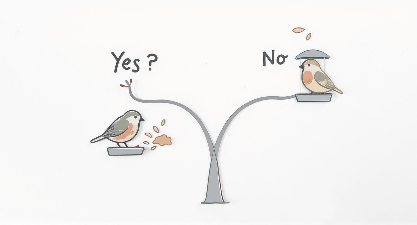 Infographic decision tree asking if your bird feeder is messy.