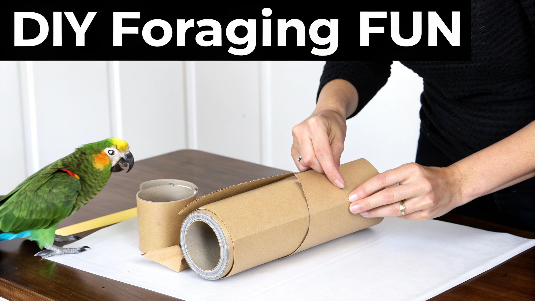A person's hands craft a DIY bird foraging toy from cardboard tubes, watched by a green parrot.