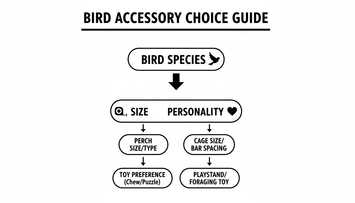 Flowchart detailing bird accessory choices based on species, size, personality, perches, cages, and toys.