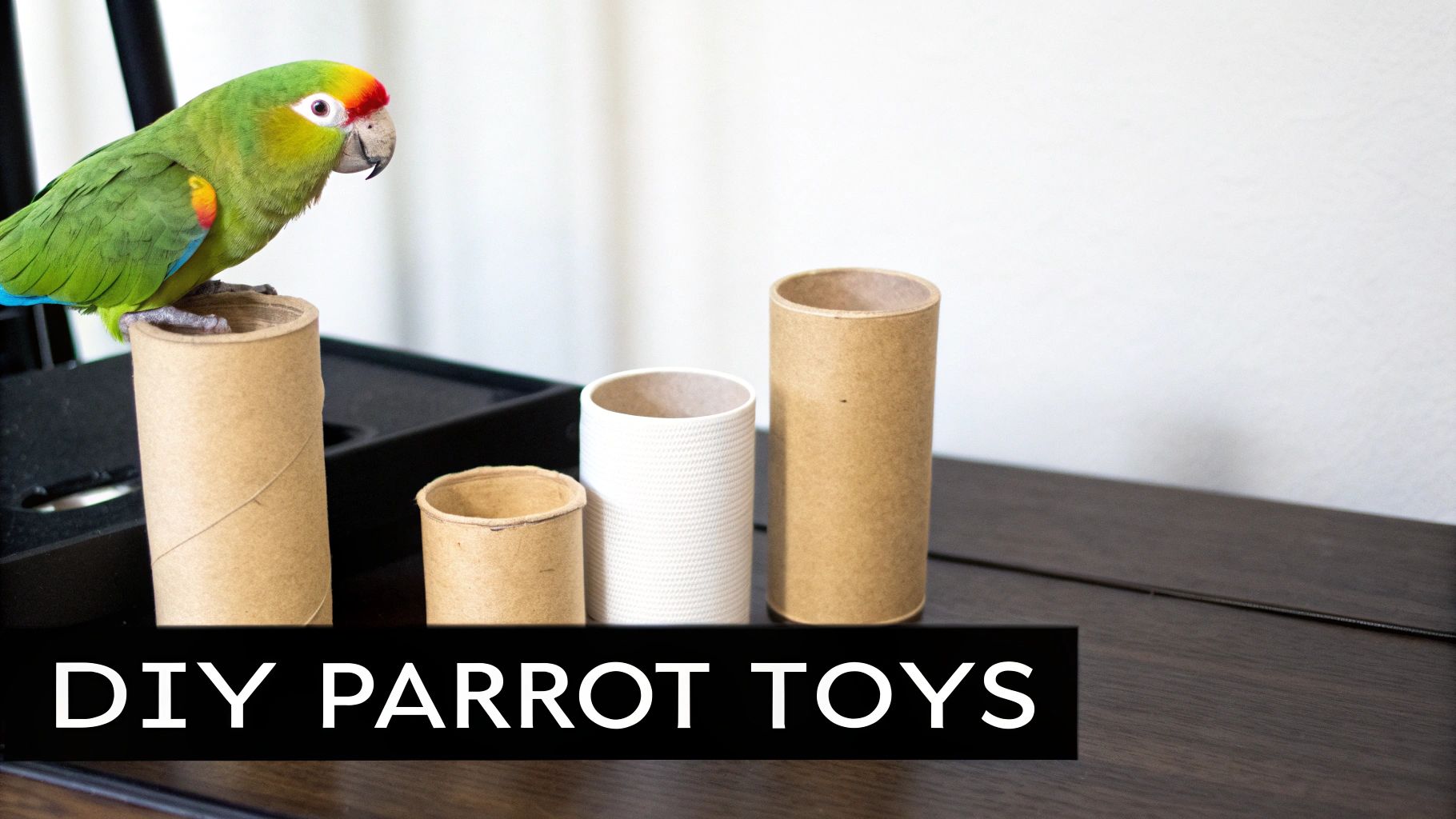A green parrot perches on a cardboard tube among other DIY parrot toys on a wooden surface.