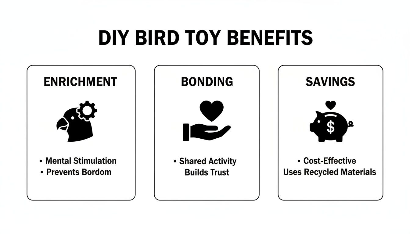 Infographic outlining DIY bird toy benefits: enrichment, bonding, and savings for bird owners.