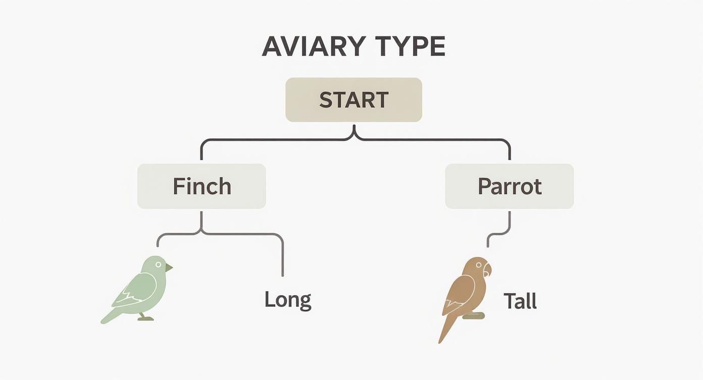 Flowchart diagram showing aviary bird type classification between finch and parrot species with visual illustrations