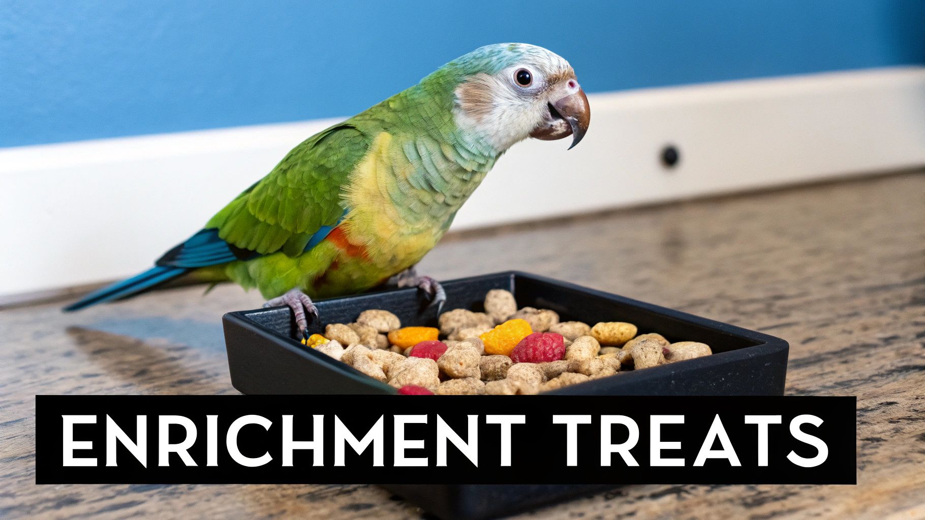 A colorful parrot enjoying a bowl of freeze-dried fruit and other enrichment treats on a wooden surface.