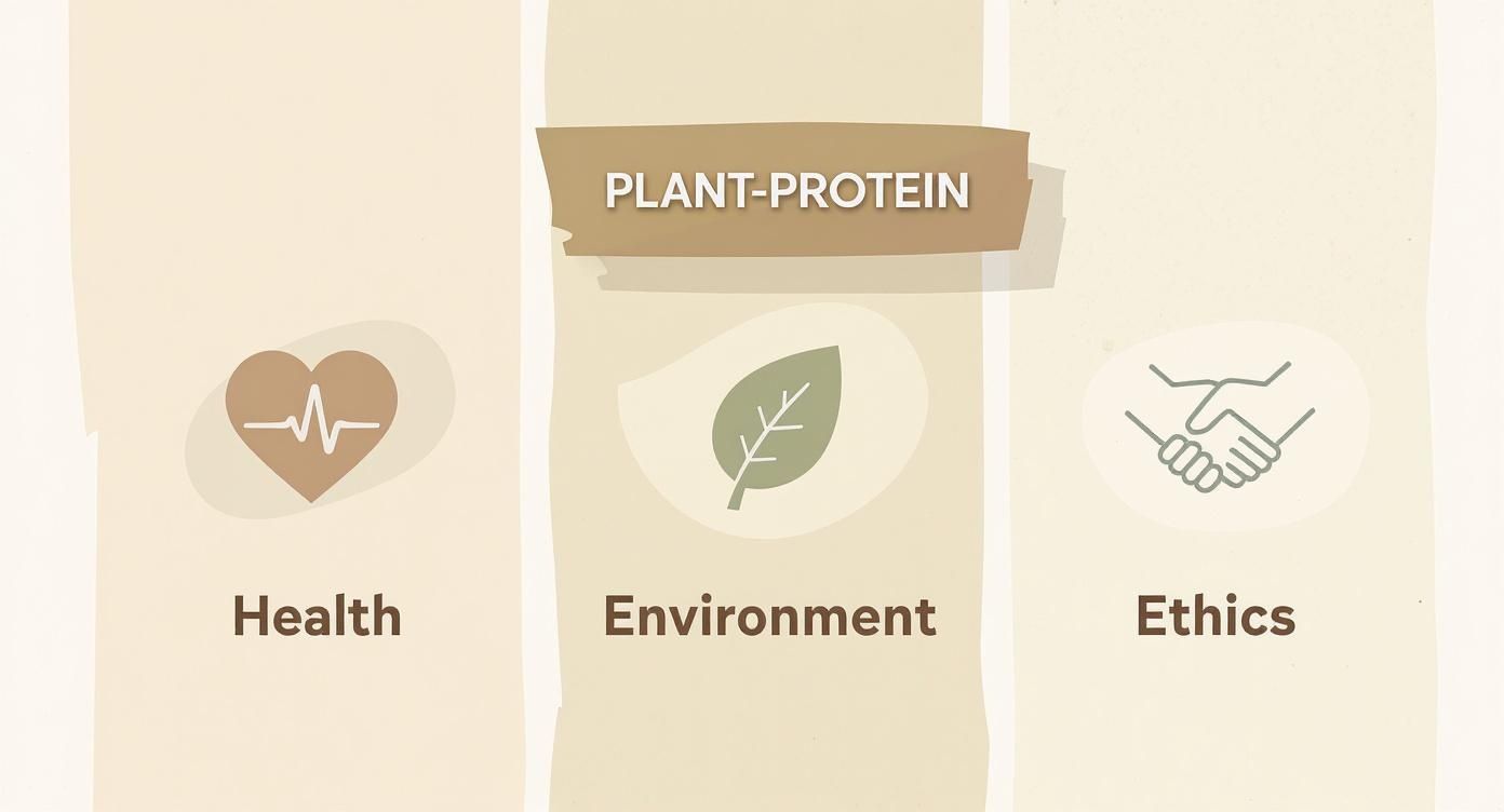 Infographic showing plant-protein benefits for health, environment, and ethics with relevant icons.