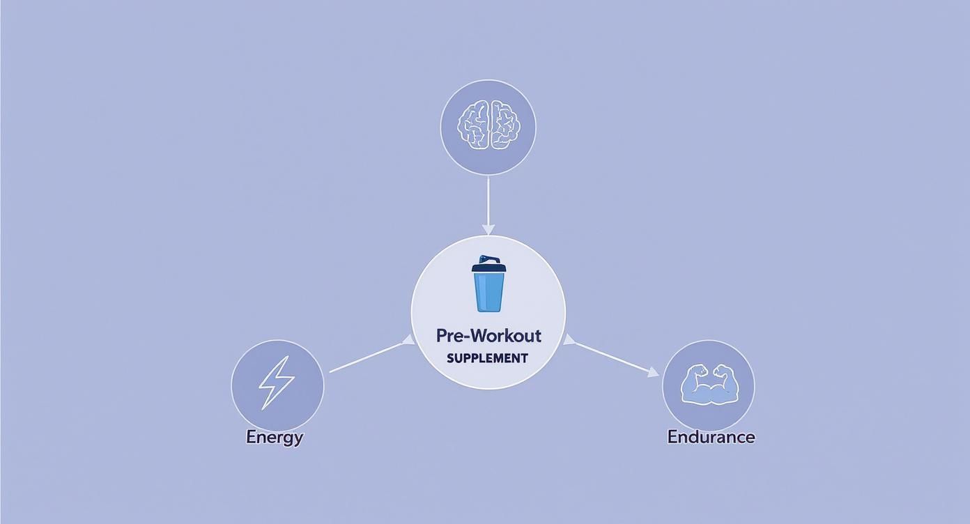 Diagram illustrating pre-workout supplement benefits for brain focus, energy, and muscle endurance.