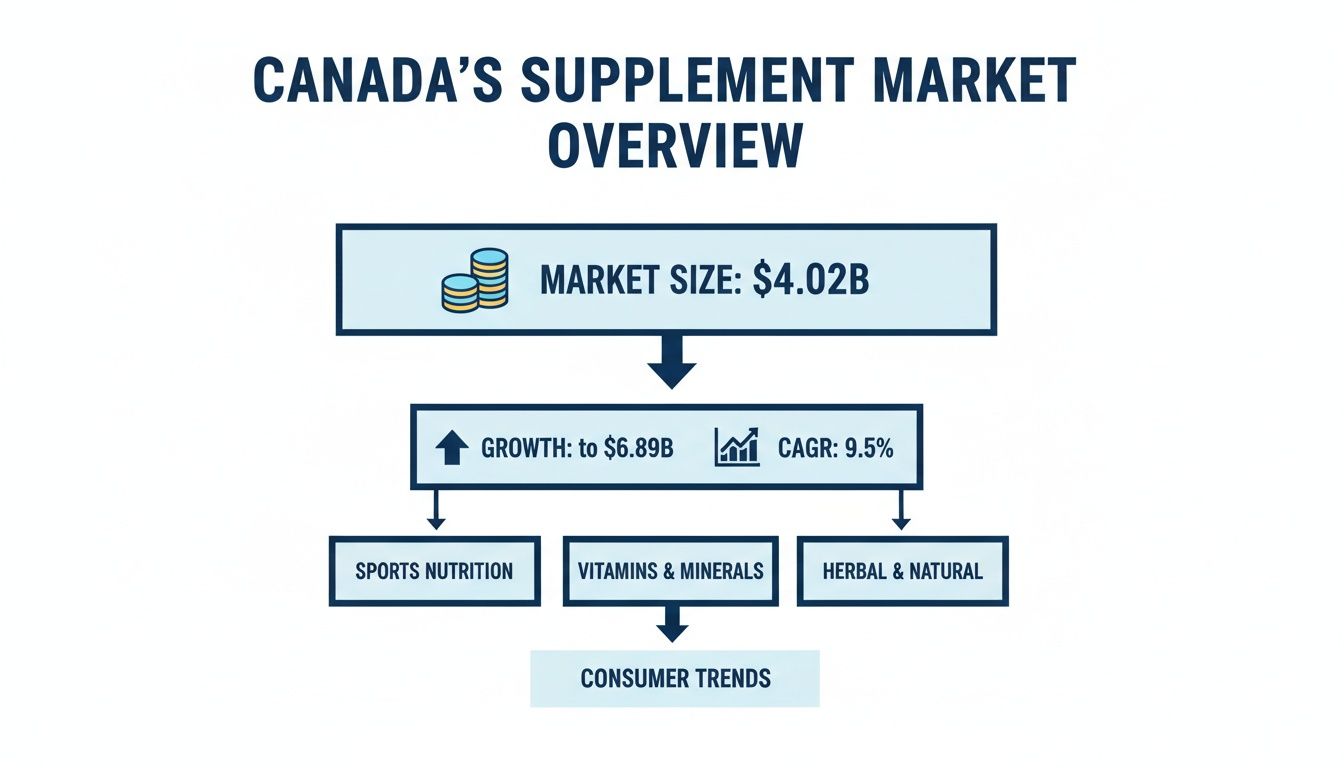 Overview of Canada's supplement market, detailing its current size, projected growth, CAGR, and key categories.