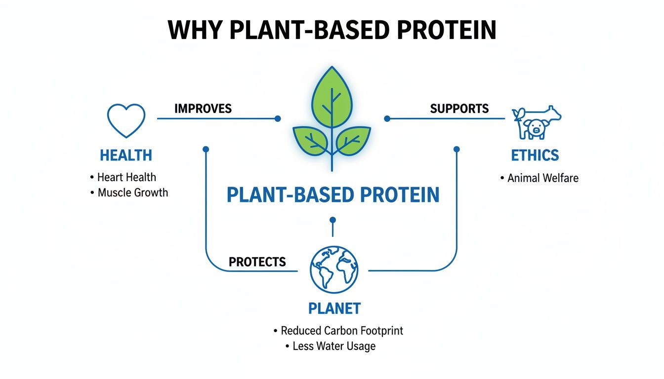 Diagram illustrating the benefits of plant-based protein for health, ethics, and the planet.