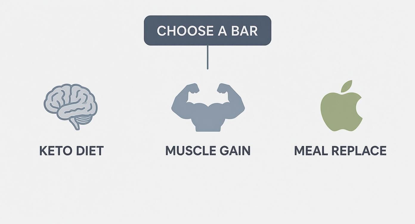 Infographie présentant différentes options de barres protéinées pour le régime cétogène, la prise de masse musculaire et le remplacement de repas.