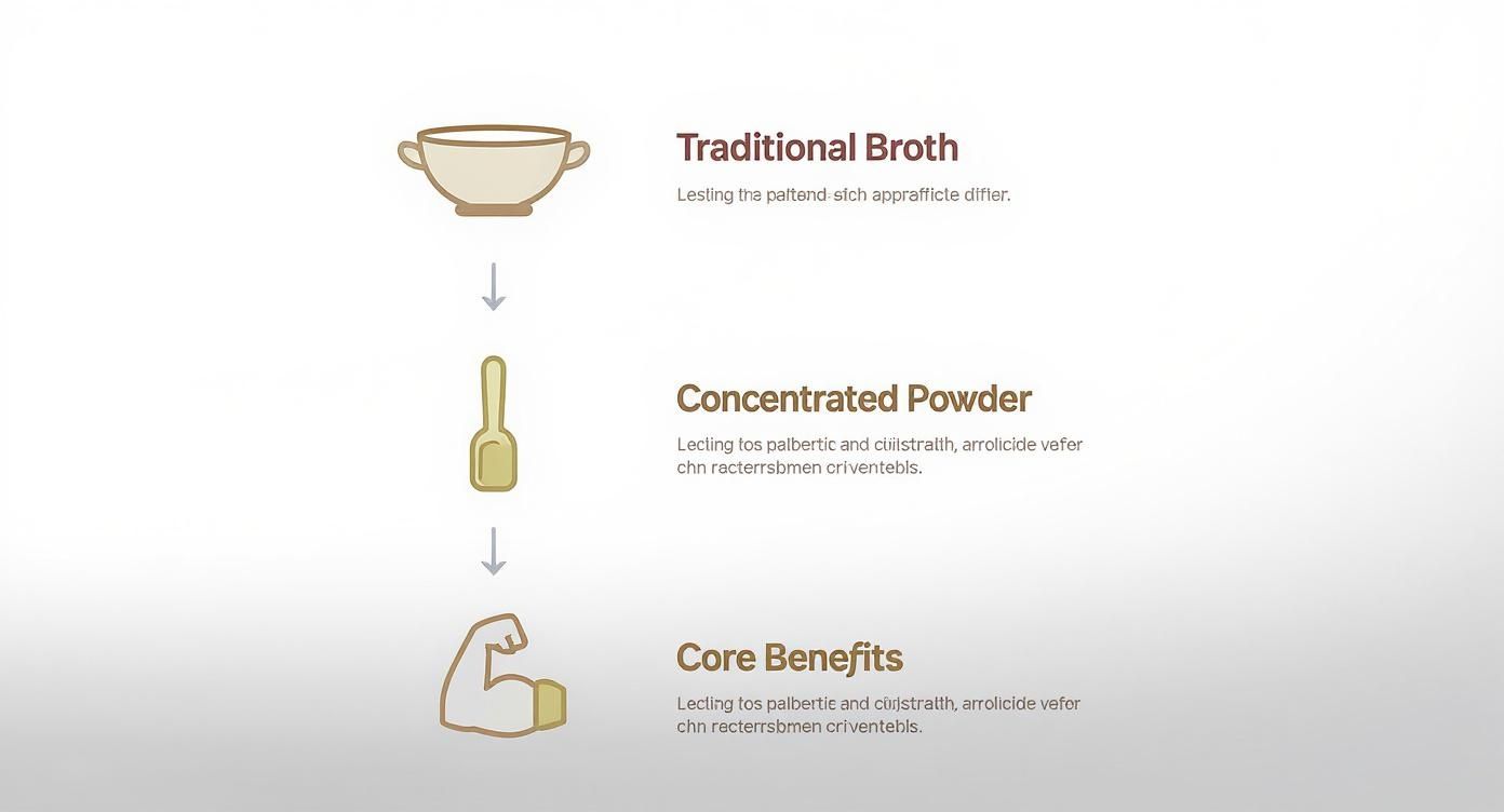 Schéma illustrant la transformation d'un bouillon traditionnel en poudre concentrée, mettant en évidence ses principaux avantages.