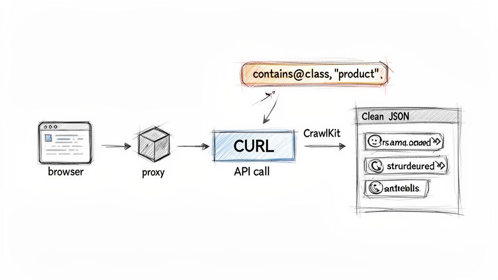 A diagram depicting web scraping process from browser to clean JSON, utilizing proxy, cURL, and XPath.